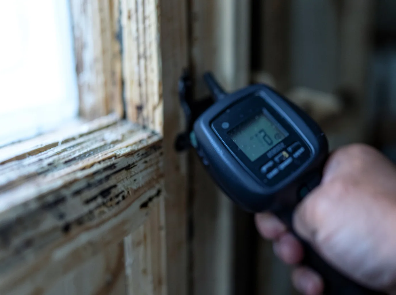 Moisture Inspection And Documentation in Mantorville, MN